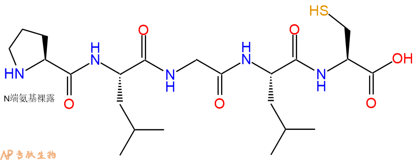 专肽生物产品H2N-Pro-Leu-Gly-Leu-Cys-OH