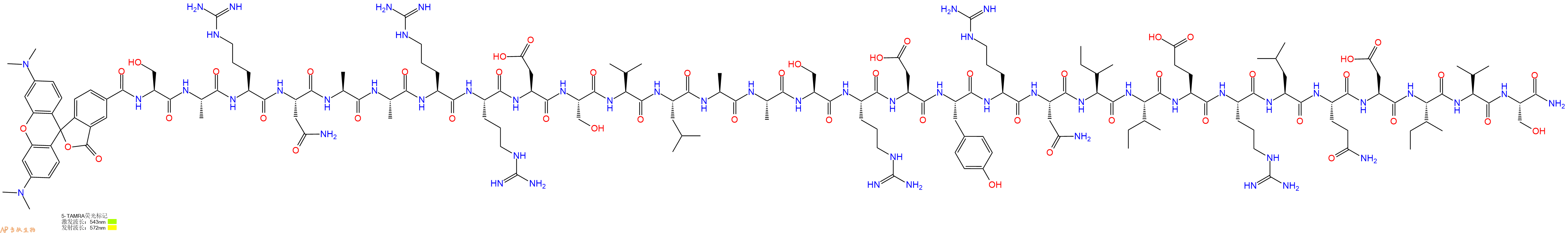 专肽生物产品5TAMRA-Ser-Ala-Arg-Asn-Ala-Ala-Arg-Arg-Asp-Ser-Val-Leu-Ala-Ala-Ser-Arg-Asp-Tyr-Arg-Asn-Ile-Ile-Glu-Arg-Leu-Gln-Asp-Ile-Val-Ser-CONH2