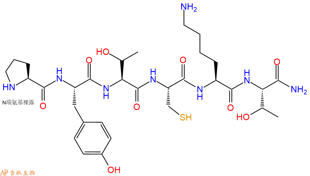 专肽生物产品H2N-Pro-Tyr-Thr-Cys-Lys-Thr-CONH2