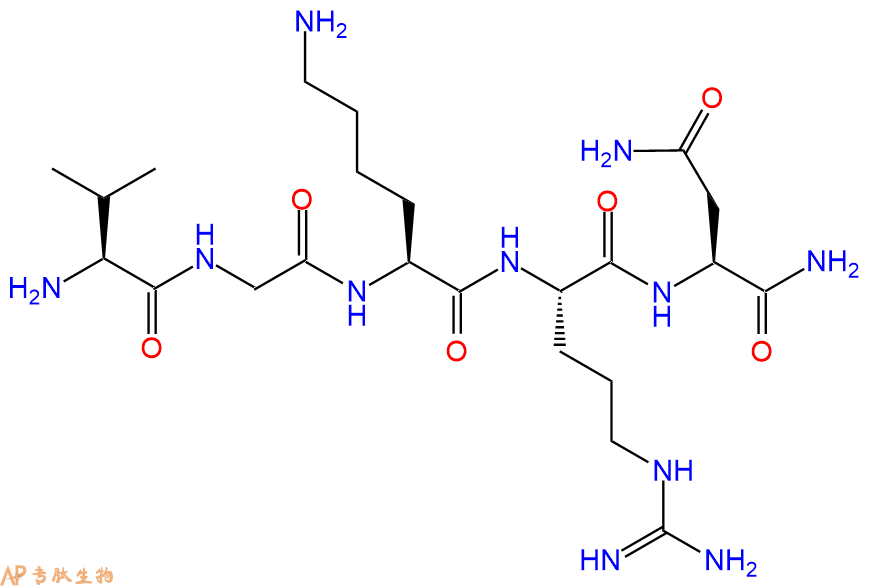 专肽生物产品H2N-Val-Gly-Lys-Arg-Asn-CONH2