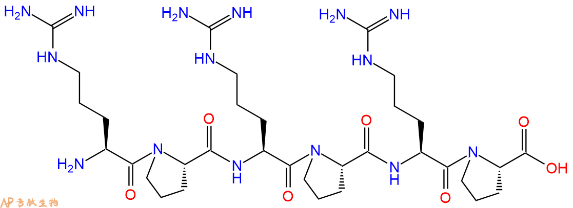 专肽生物产品H2N-Arg-Pro-Arg-Pro-Arg-Pro-OH