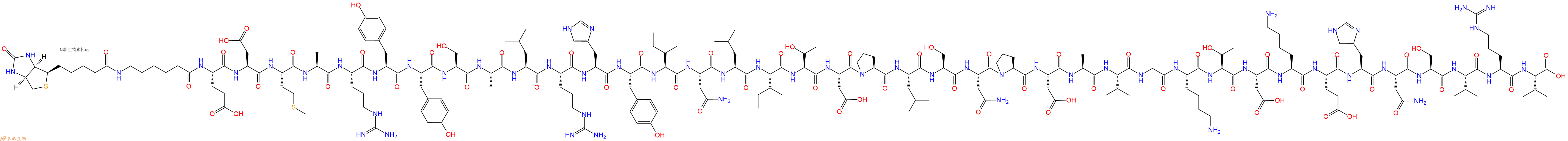 专肽生物产品Biotinyl-Ahx-Glu-Asp-Met-Ala-Arg-Tyr-Tyr-Ser-Ala-Leu-Arg-His-Tyr-Ile-Asn-Leu-Ile-Thr-Asp-Pro-Leu-Ser-Asn-Pro-Asp-Ala-Val-Gly-Lys-Thr-Asp-Lys-Glu-His-Asn-Ser-Val-Arg-Val-OH
