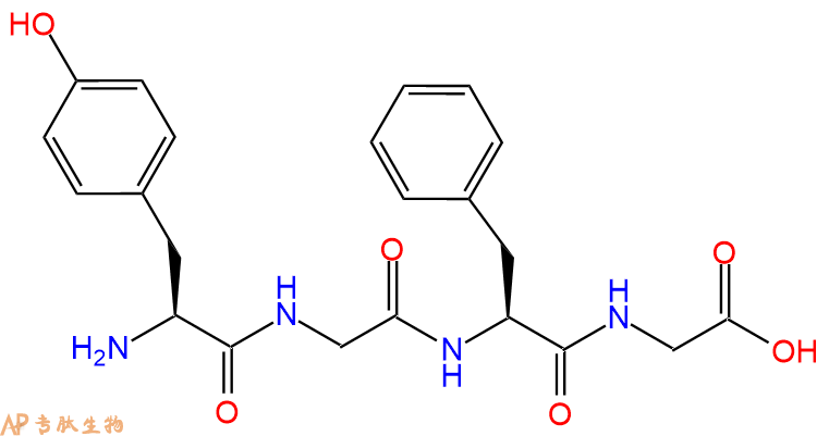 专肽生物产品H2N-Tyr-Gly-Phe-Gly-OH