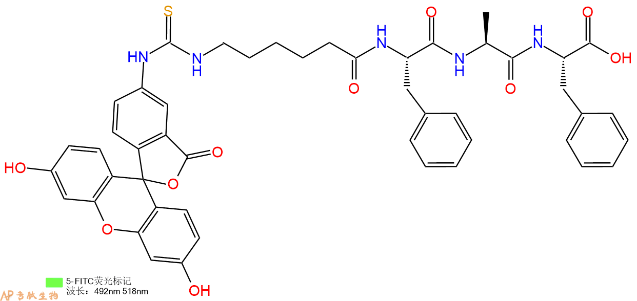 专肽生物产品5FITC-Ahx-Phe-Ala-Phe-OH
