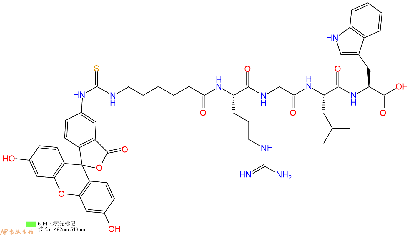 专肽生物产品5FITC-Ahx-Arg-Gly-Leu-Trp-OH