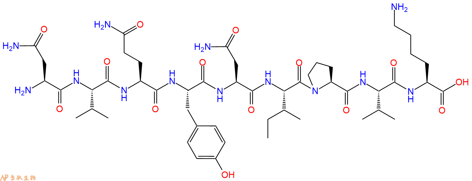 专肽生物产品H2N-Asn-Val-Gln-Tyr-Asn-Ile-Pro-Val-Lys-OH