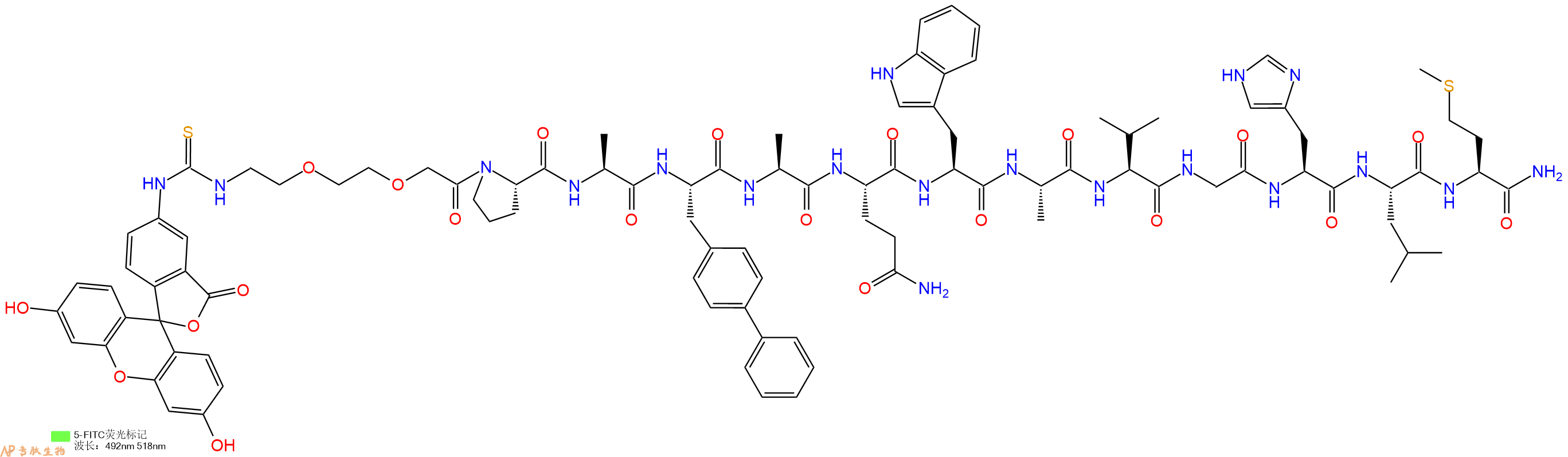 专肽生物产品5FITC-AEEA-Pro-Ala-Bip-Ala-Gln-Trp-Ala-Val-Gly-His-Leu-Met-CONH2