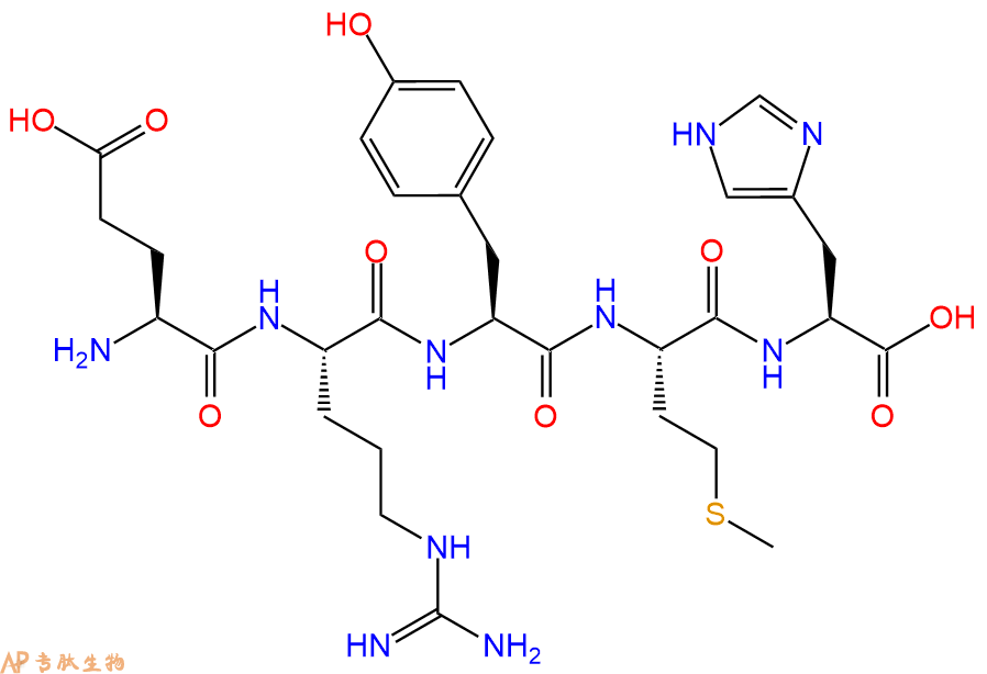 专肽生物产品H2N-Glu-Arg-Tyr-Met-His-OH