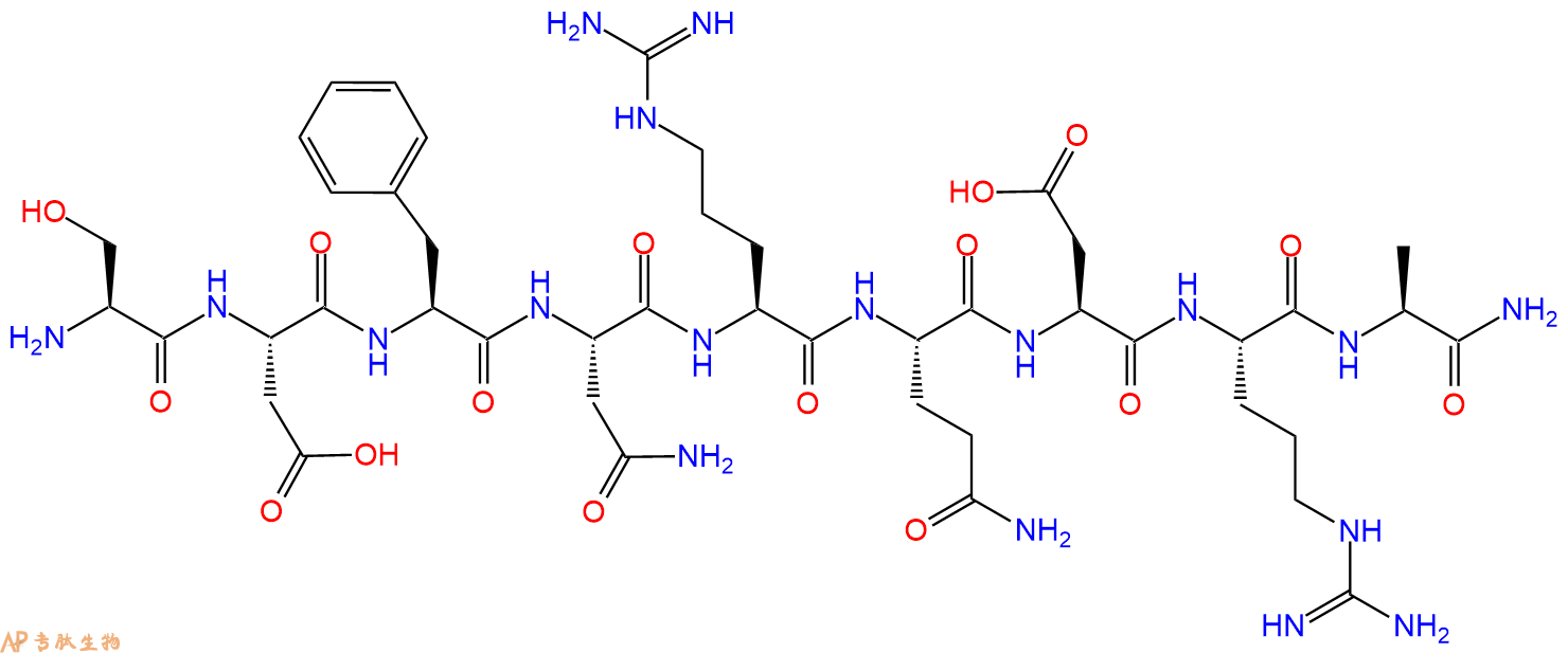 专肽生物产品H2N-Ser-Asp-Phe-Asn-Arg-Gln-Asp-Arg-Ala-CONH2