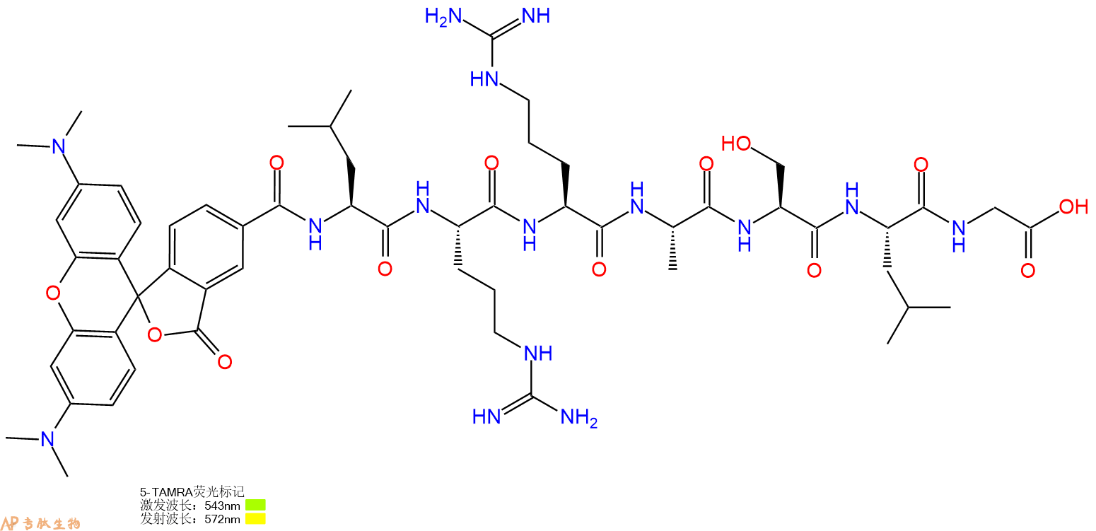 专肽生物产品Kemptide [LRRASLG], 5-TAMRA labeled