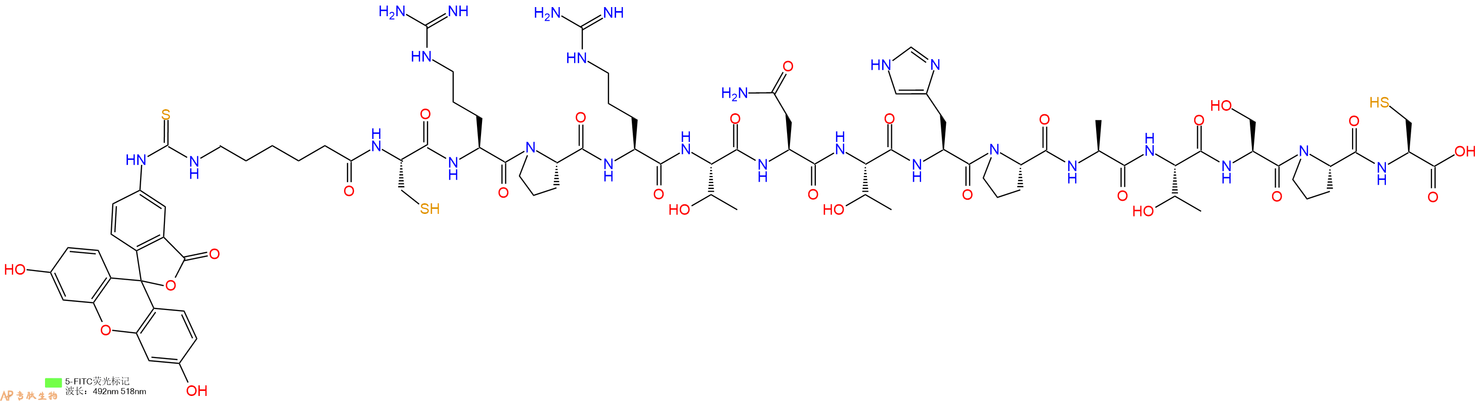 专肽生物产品5FITC-Ahx-Cys-Arg-Pro-Arg-Thr-Asn-Thr-His-Pro-Ala-Thr-Ser-Pro-Cys-OH