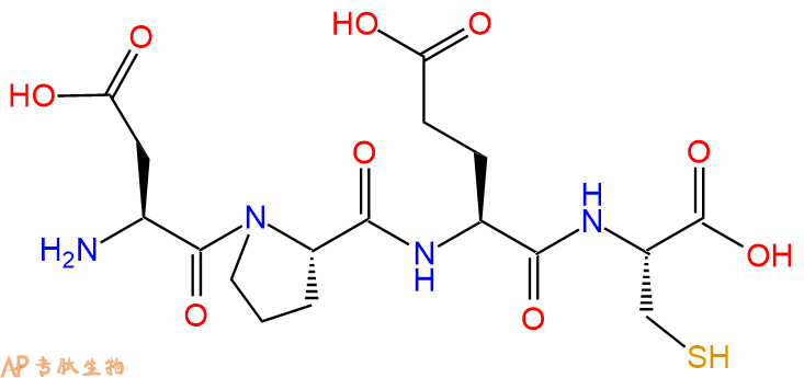 专肽生物产品H2N-Asp-Pro-Glu-Cys-OH