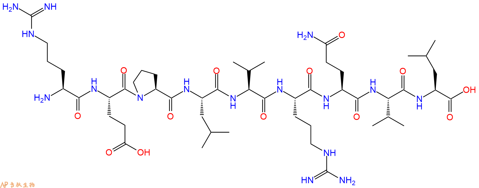 专肽生物产品H2N-Arg-Glu-Pro-Leu-Val-Arg-Gln-Val-Leu-OH