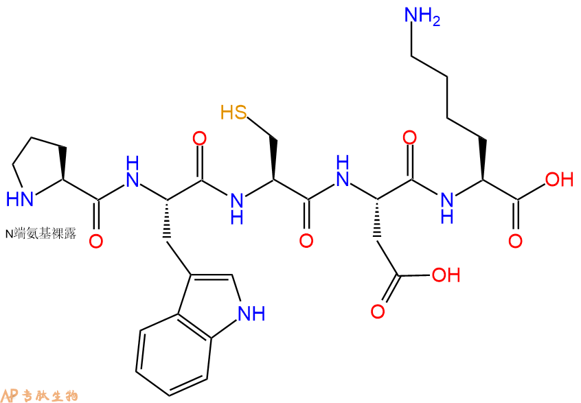 专肽生物产品H2N-Pro-Trp-Cys-Asp-Lys-OH