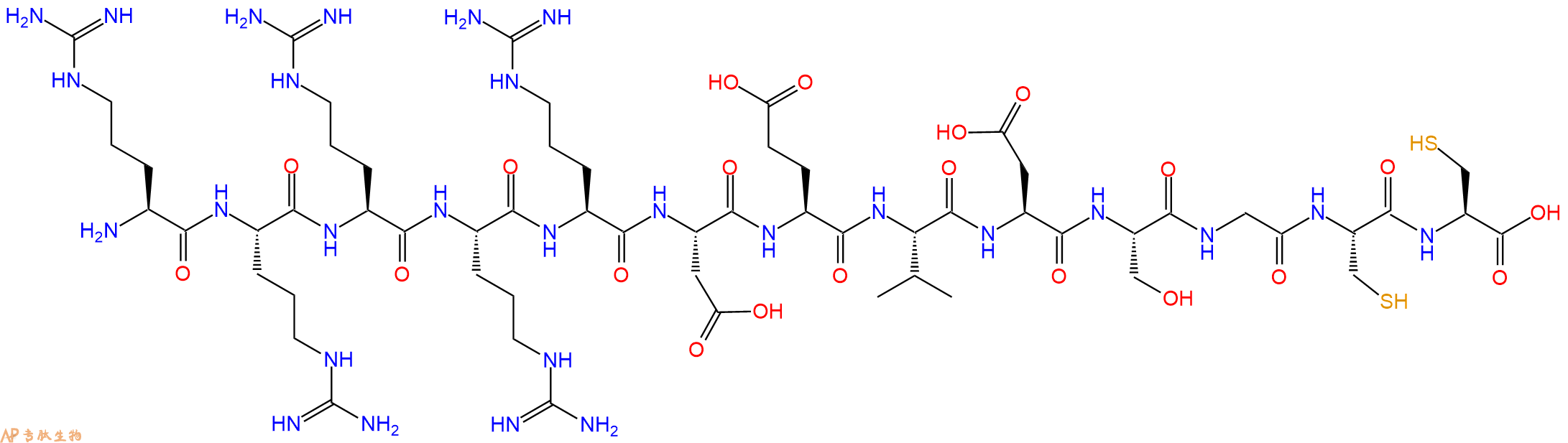 专肽生物产品H2N-Arg-Arg-Arg-Arg-Arg-Asp-Glu-Val-Asp-Ser-Gly-Cys-Cys-OH