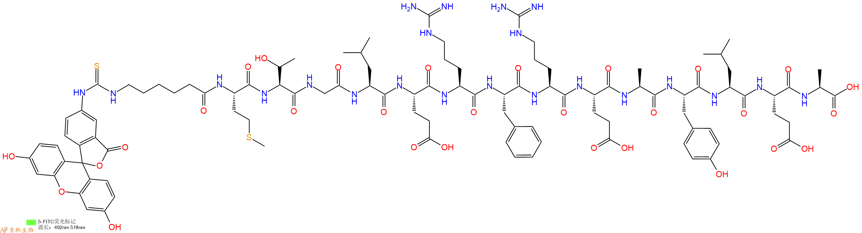 专肽生物产品5FITC-Ahx-Met-Thr-Gly-Leu-Glu-Arg-Phe-Arg-Glu-Ala-Tyr-Leu-Glu-Ala-OH