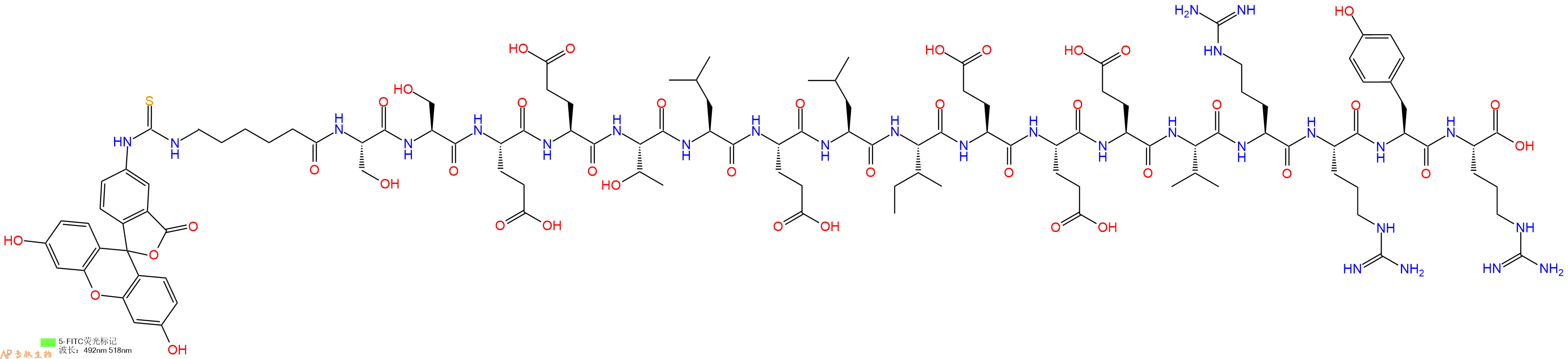 专肽生物产品5FITC-Ahx-Ser-Ser-Glu-Glu-Thr-Leu-Glu-Leu-Ile-Glu-Glu-Glu-Val-Arg-Arg-Tyr-Arg-OH