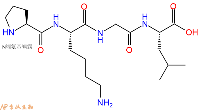 专肽生物产品H2N-Pro-Lys-Gly-Leu-OH