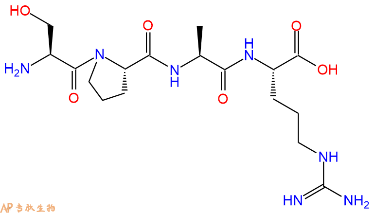 专肽生物产品H2N-Ser-Pro-Ala-Arg-OH