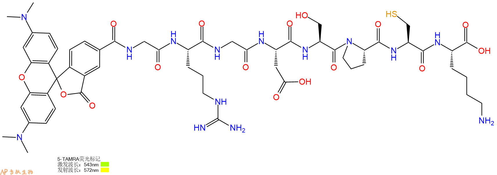 专肽生物产品5TAMRA-Gly-Arg-Gly-Asp-Ser-Pro-Cys-Lys-OH