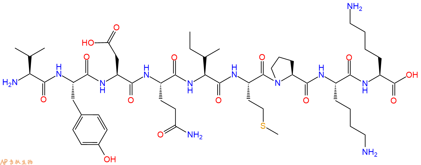 专肽生物产品H2N-Val-Tyr-Asp-Gln-Ile-Met-Pro-Lys-Lys-OH
