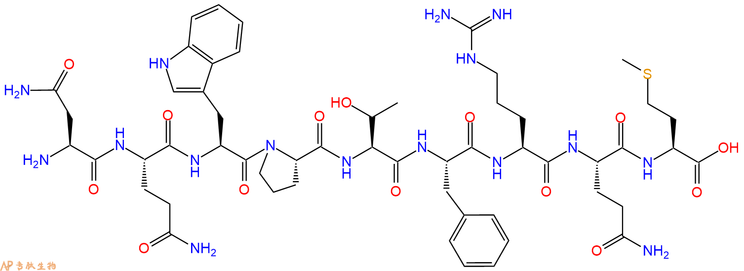专肽生物产品H2N-Asn-Gln-Trp-Pro-Thr-Phe-Arg-Gln-Met-OH