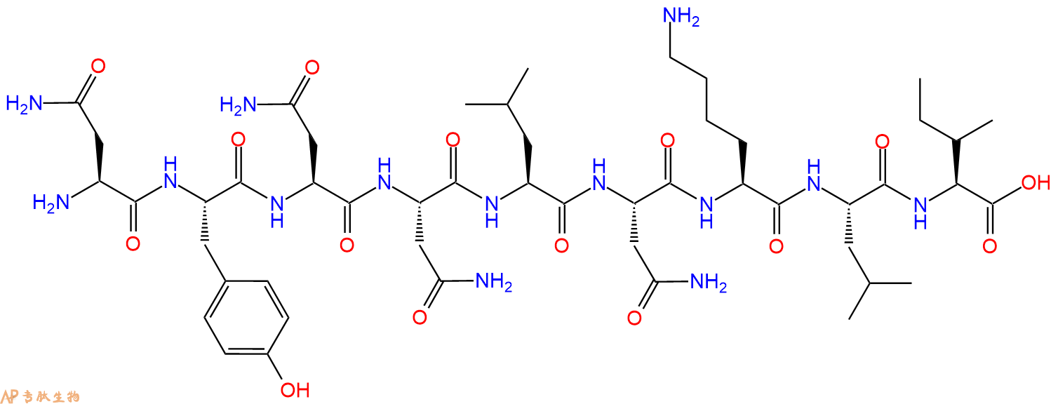 专肽生物产品H2N-Asn-Tyr-Asn-Asn-Leu-Asn-Lys-Leu-Ile-OH