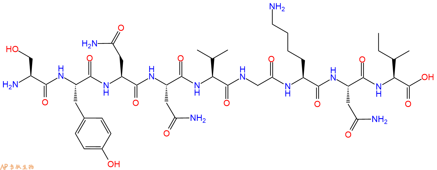 专肽生物产品H2N-Ser-Tyr-Asn-Asn-Val-Gly-Lys-Asn-Ile-OH