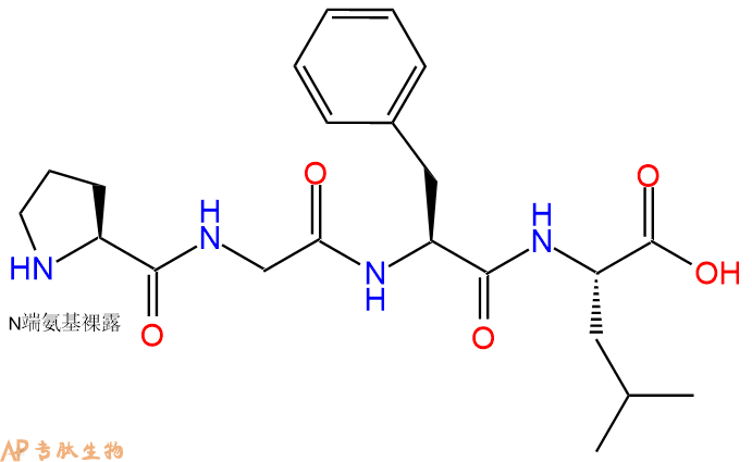专肽生物产品H2N-Pro-Gly-Phe-Leu-OH