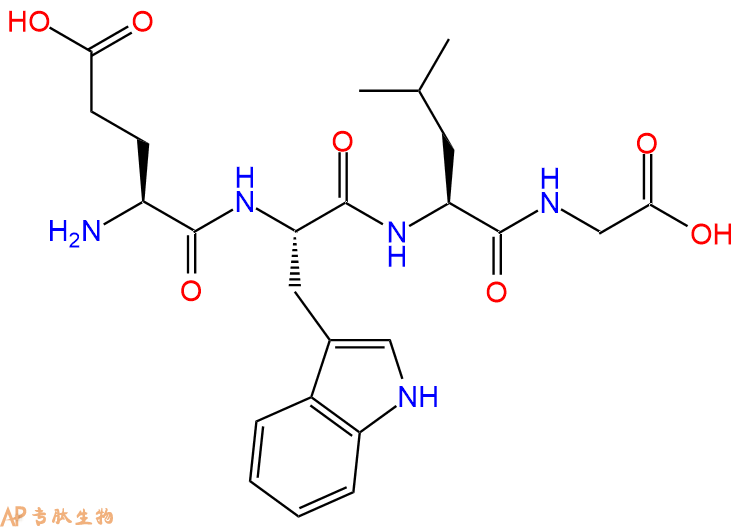 专肽生物产品H2N-Glu-Trp-Leu-Gly-OH