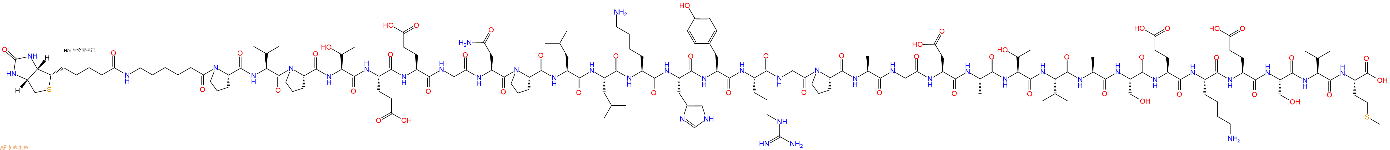 专肽生物产品Biotinyl-Ahx-Pro-Val-Pro-Thr-Glu-Glu-Gly-Asn-Pro-Leu-Leu-Lys-His-Tyr-Arg-Gly-Pro-Ala-Gly-Asp-Ala-Thr-Val-Ala-Ser-Glu-Lys-Glu-Ser-Val-Met-OH