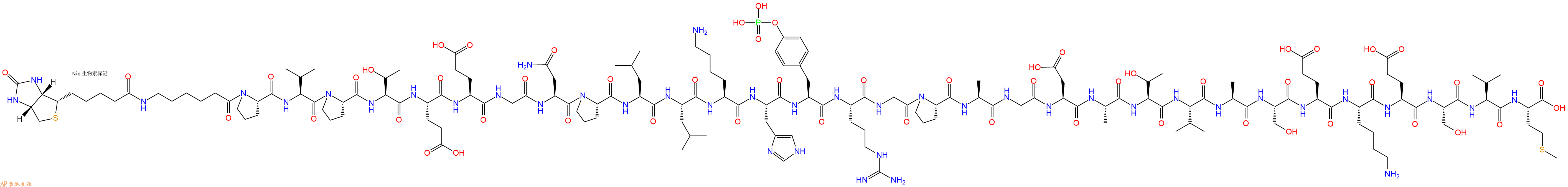 专肽生物产品Biotinyl-Ahx-Pro-Val-Pro-Thr-Glu-Glu-Gly-Asn-Pro-Leu-Leu-Lys-His-Tyr(PO3H2)-Arg-Gly-Pro-Ala-Gly-Asp-Ala-Thr-Val-Ala-Ser-Glu-Lys-Glu-Ser-Val-Met-OH