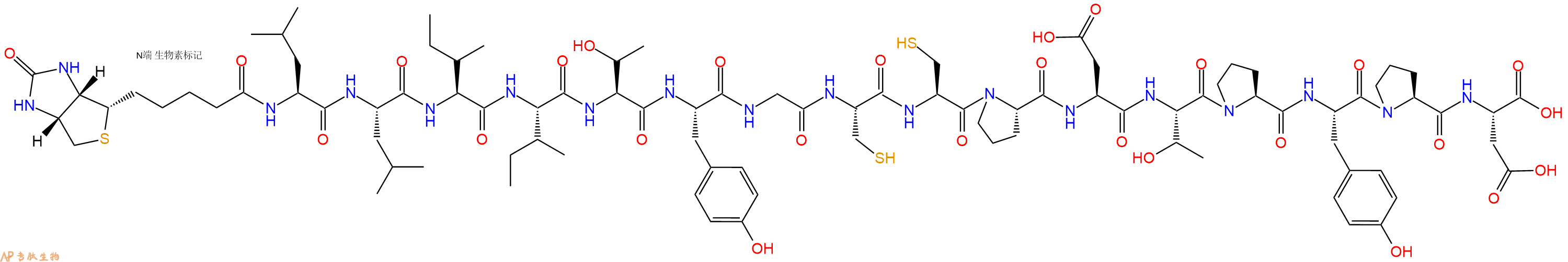 专肽生物产品Biotinyl-Leu-Leu-Ile-Ile-Thr-Tyr-Gly-Cys-Cys-Pro-Asp-Thr-Pro-Tyr-Pro-Asp-OH