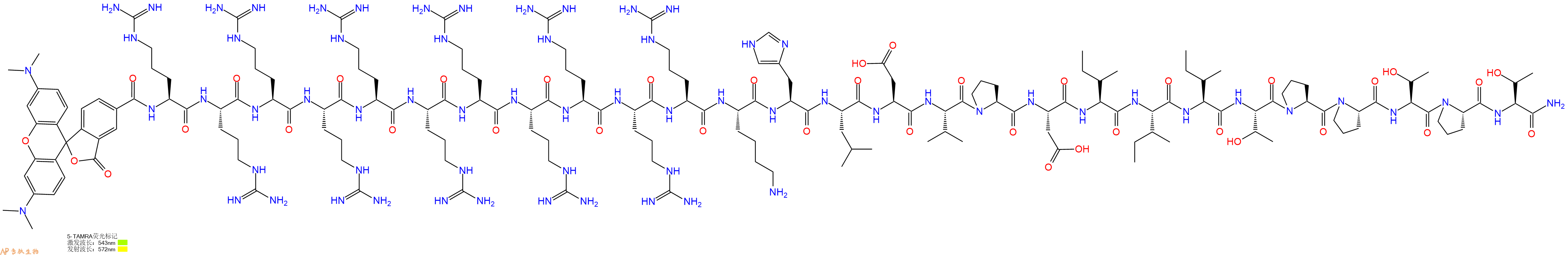 专肽生物产品5TAMRA-Arg-Arg-Arg-Arg-Arg-Arg-Arg-Arg-Arg-Arg-Arg-Lys-His-Leu-Asp-Val-Pro-Asp-Ile-Ile-Ile-Thr-Pro-Pro-Thr-Pro-Thr-CONH2