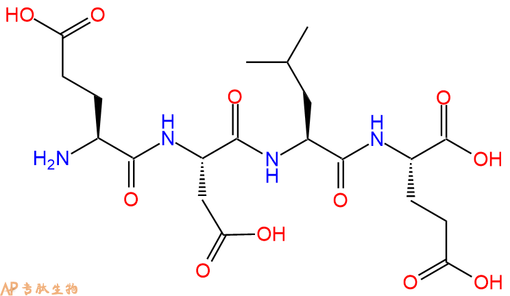 专肽生物产品H2N-Glu-Asp-Leu-Glu-OH