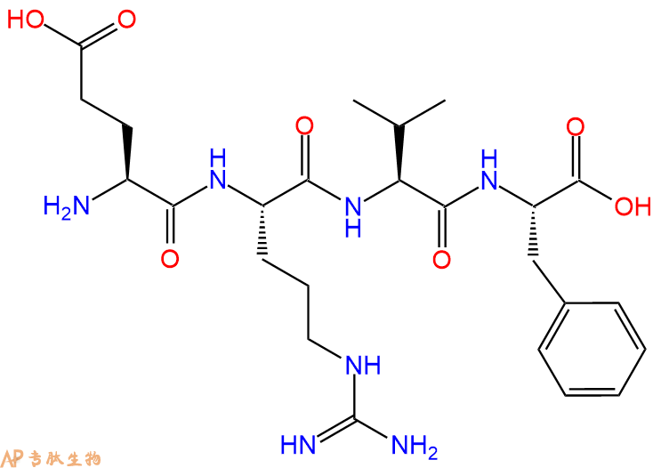 专肽生物产品H2N-Glu-Arg-Val-Phe-OH