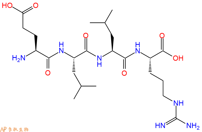 专肽生物产品H2N-Glu-Leu-Leu-Arg-OH