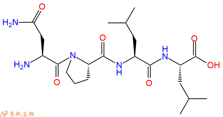 专肽生物产品H2N-Asn-Pro-Leu-Leu-OH