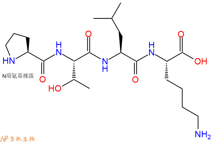 专肽生物产品H2N-Pro-Thr-Leu-Lys-OH