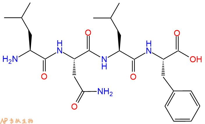 专肽生物产品H2N-Leu-Asn-Leu-Phe-OH