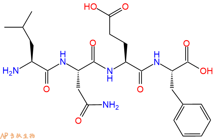 专肽生物产品H2N-Leu-Asn-Glu-Phe-OH