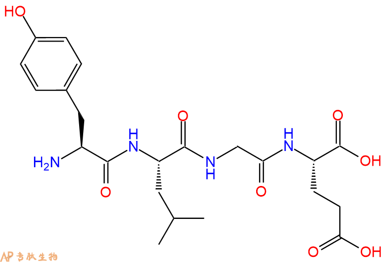 专肽生物产品H2N-Tyr-Leu-Gly-Glu-OH