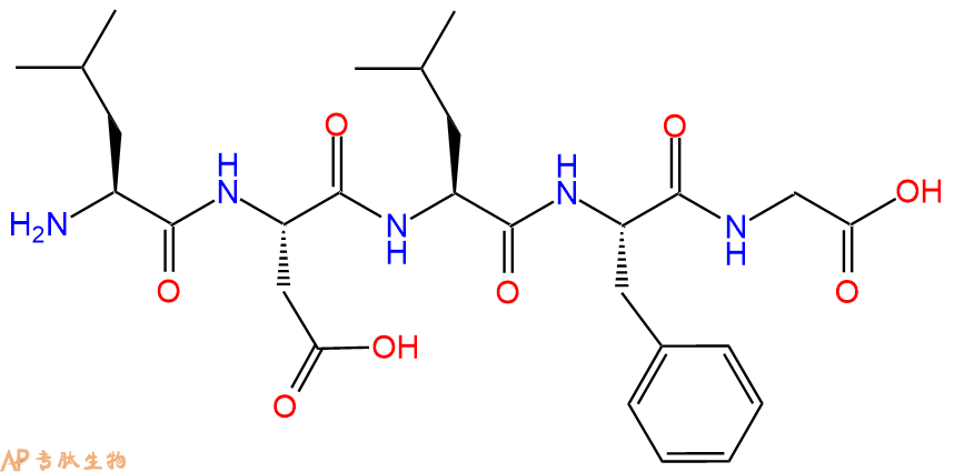 专肽生物产品H2N-Leu-Asp-Leu-Phe-Gly-OH