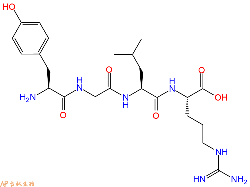 专肽生物产品H2N-Tyr-Gly-Leu-Arg-OH
