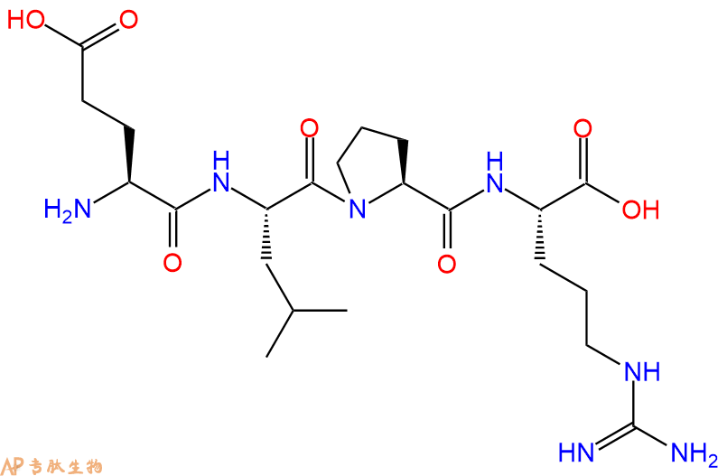专肽生物产品H2N-Glu-Leu-Pro-Arg-OH