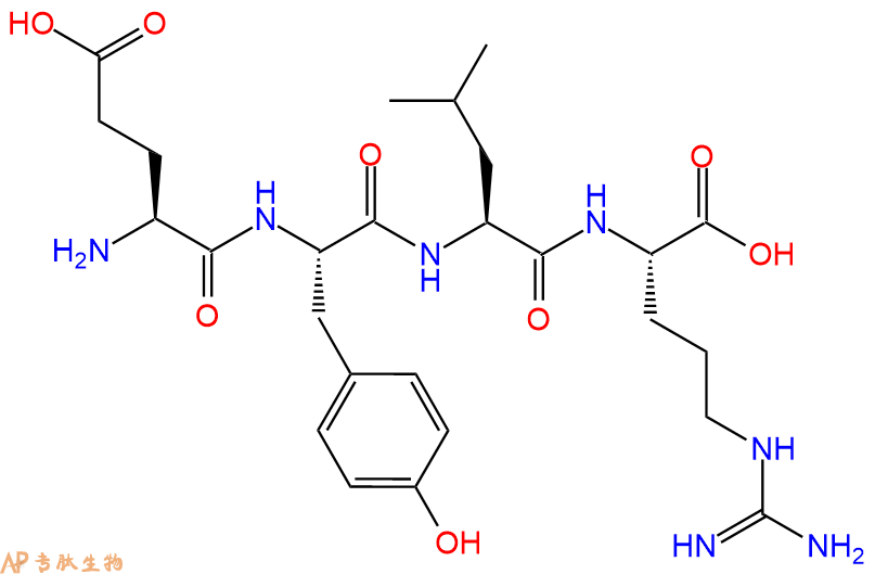专肽生物产品H2N-Glu-Tyr-Leu-Arg-OH