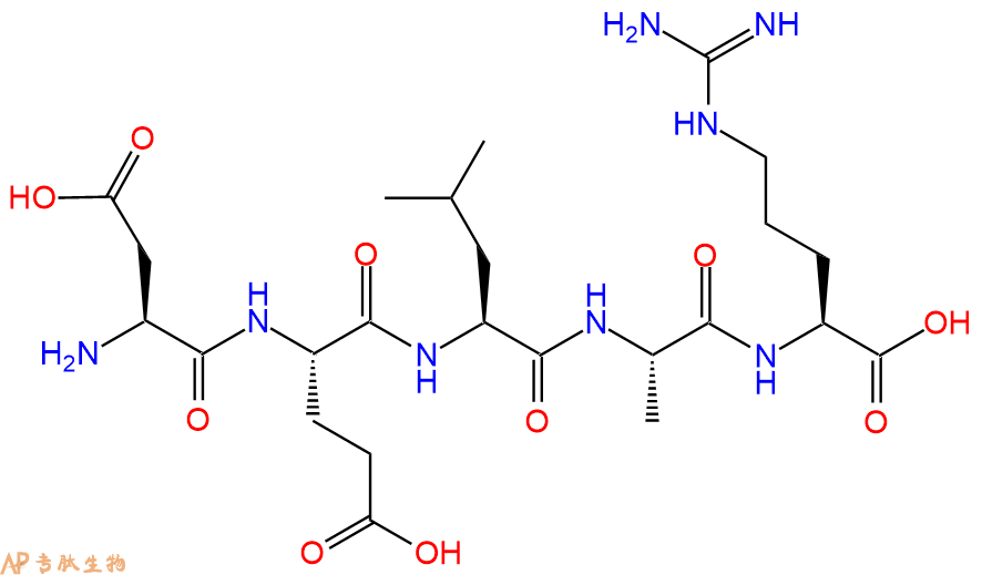 专肽生物产品H2N-Asp-Glu-Leu-Ala-Arg-OH