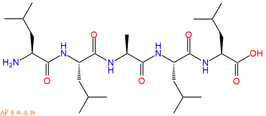 专肽生物产品H2N-Leu-Leu-Ala-Leu-Leu-OH