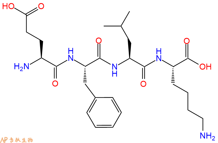 专肽生物产品H2N-Glu-Phe-Leu-Lys-OH