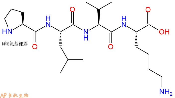 专肽生物产品H2N-Pro-Leu-Val-Lys-OH